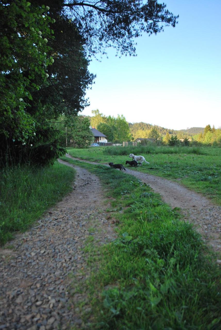 Adrspach U Meieru Exterior foto